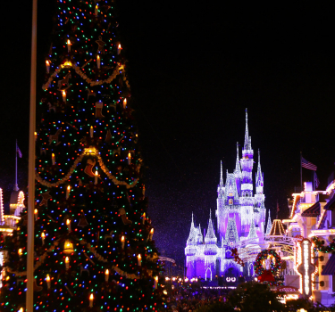 What to Know Before You Go: Dance The World Holiday
